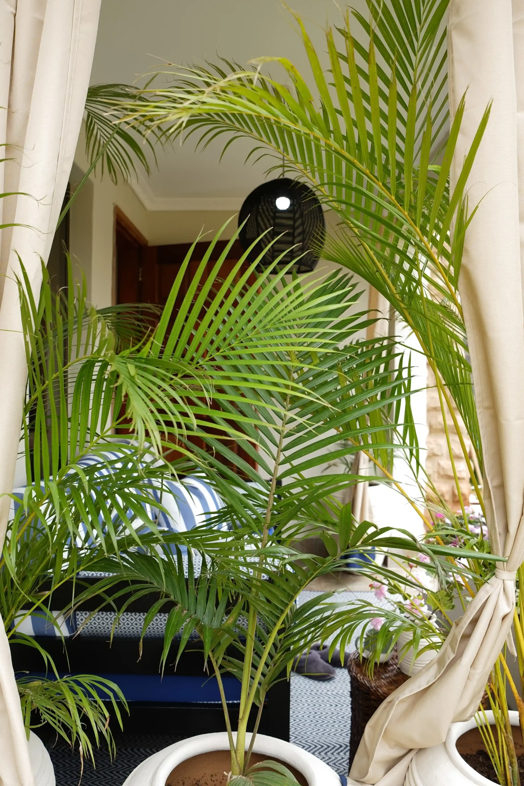 HAMPTONS PROJECT 15